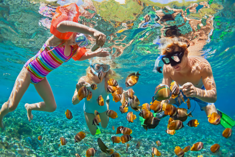 kids snorkeling in tropical water